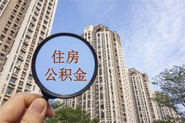 公积金怎么一次性全部提取-永城公积金代办平台